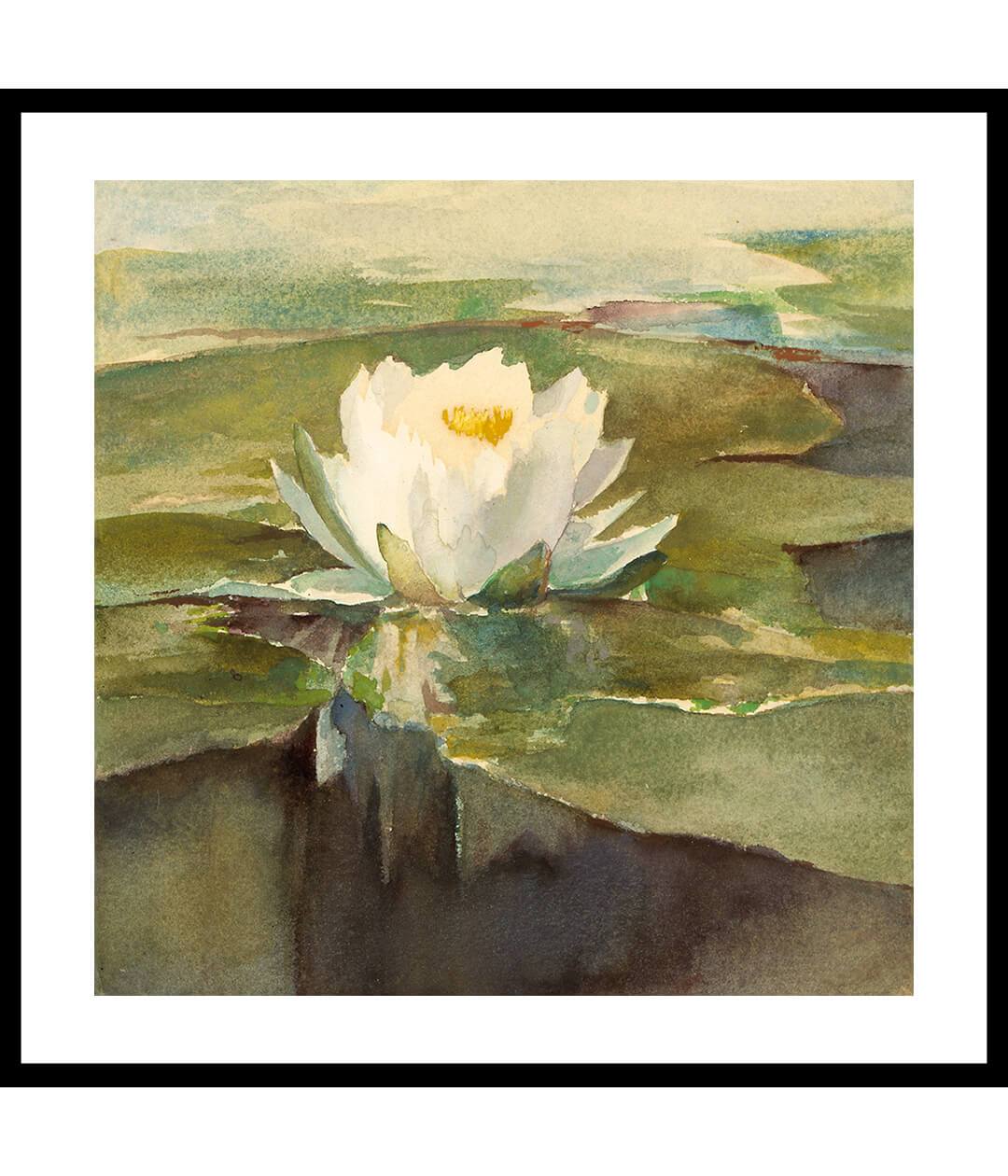 Lotus Painting by John La farge
