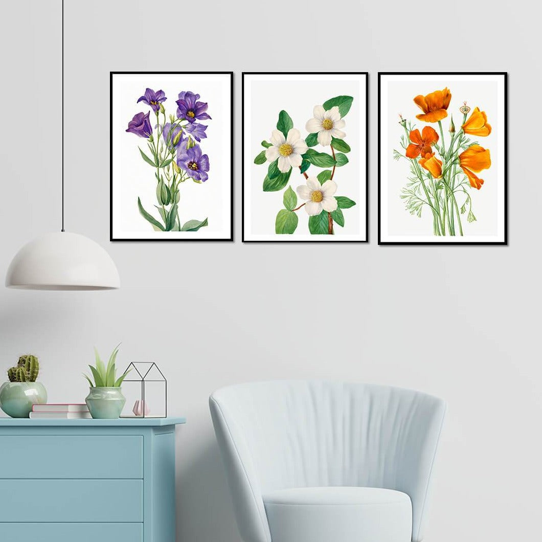 Wild Flowers Set of 3 Floral Paintings by Mary Vaux Walcott