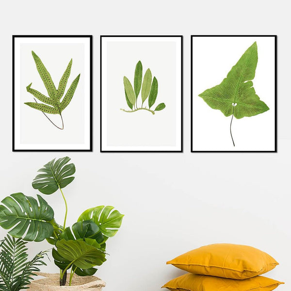 Ferns Set of 3 Floral Paintings by Edward Lowe