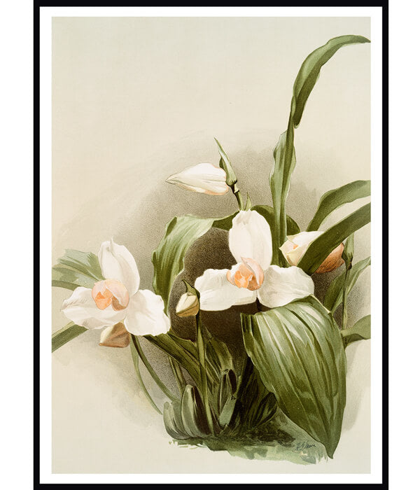 Set of 2 Floral Painting by Henry Frederick Conrad Sander