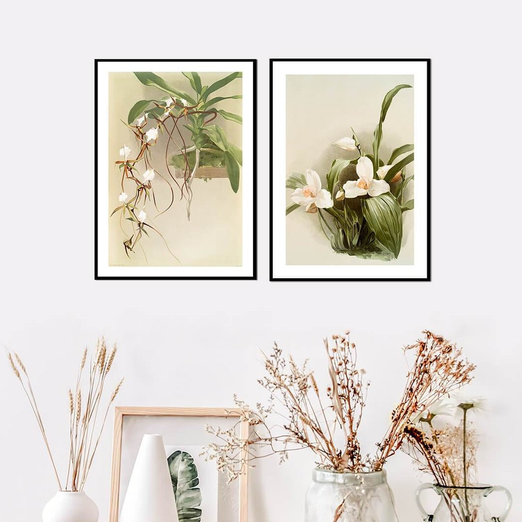 Set of 2 Floral Painting by Henry Frederick Conrad Sander